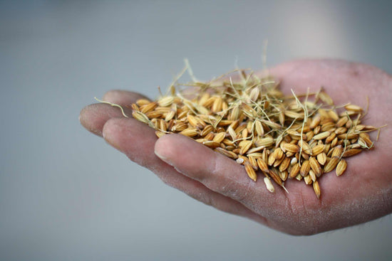 Acquerello Food International